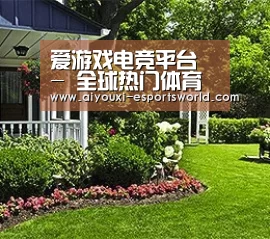 爱游戏电竞平台 - 全球热门体育娱乐平台